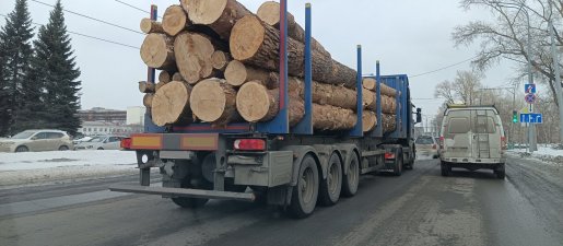 Поиск транспорта для перевозки леса, бревен и кругляка стоимость услуг и где заказать - Петропавловск-Камчатский
